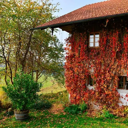 Apart-hotel Hofatelier Menacher