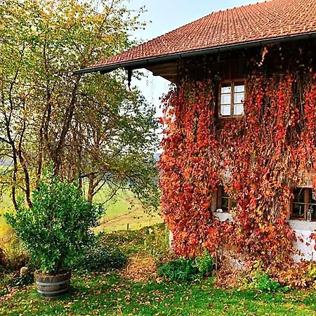 Hofatelier Menacher 3* Neureichenau