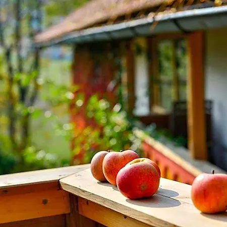 Aparthotel Hofatelier Menacher Neureichenau