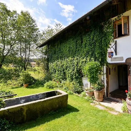 Aparthotel Hofatelier Menacher Neureichenau